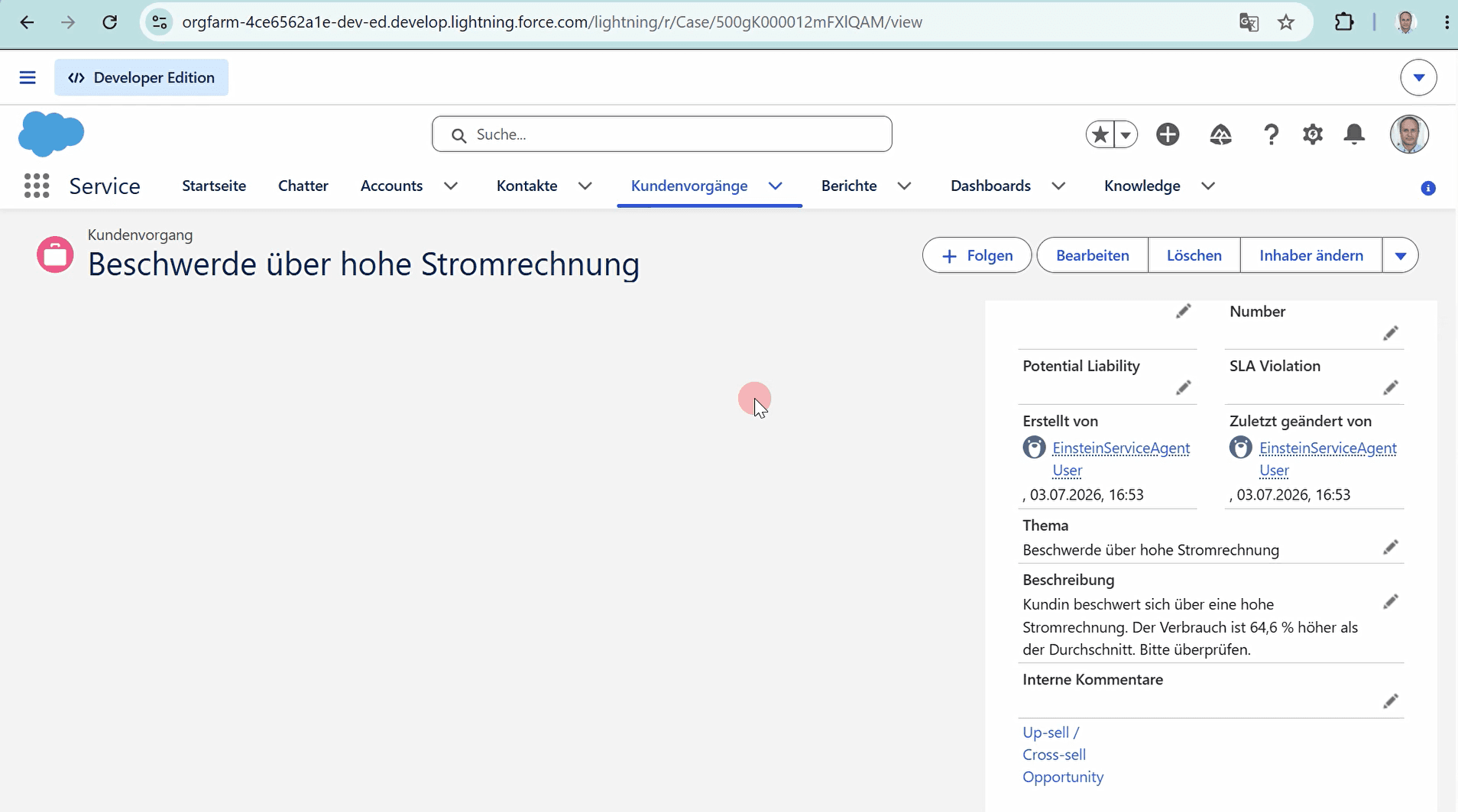 The Case the agent created in Salesforce — Created By EinsteinServiceAgent User, linked to Lena Bergmann