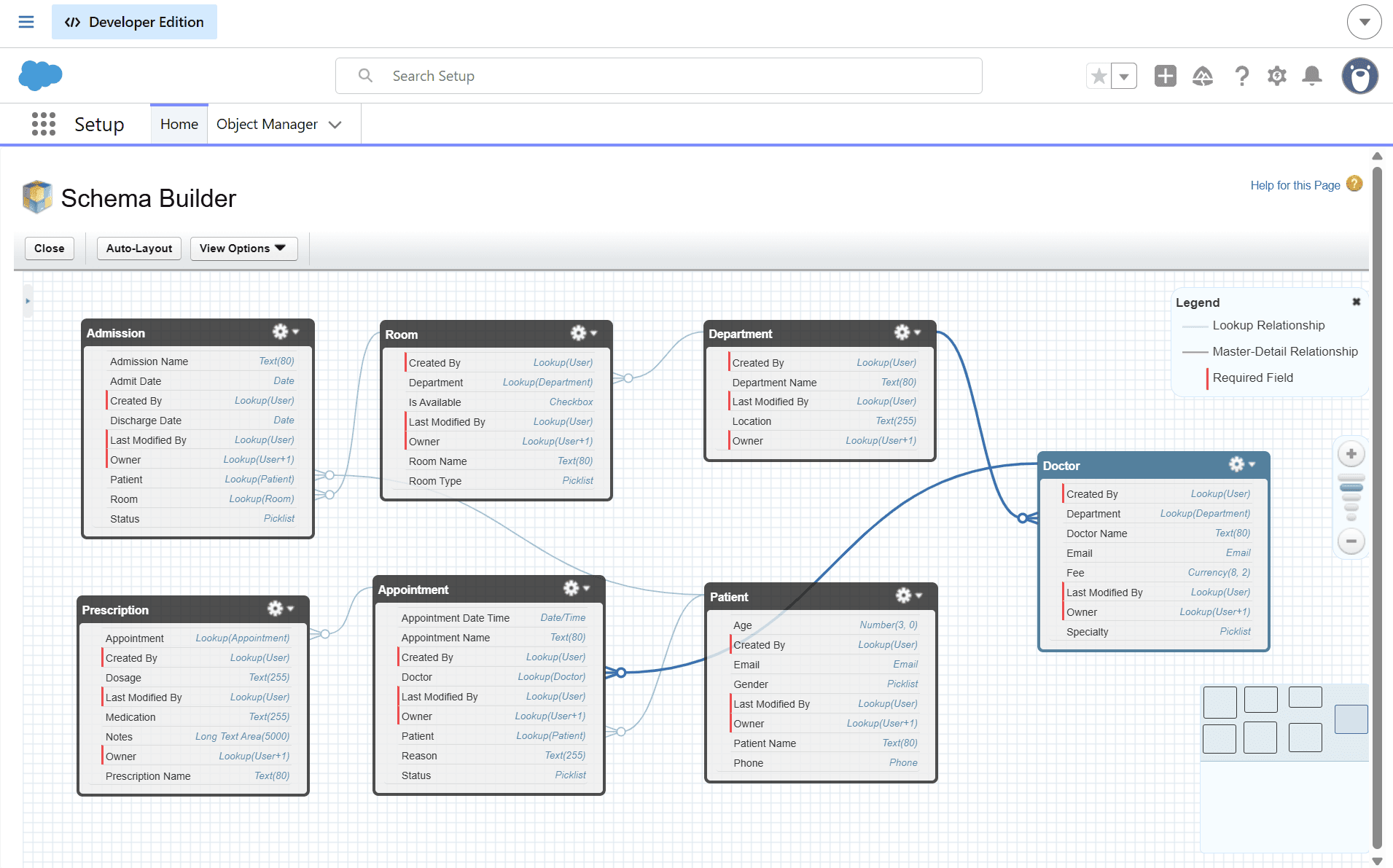 Schema Builder: all seven custom objects with their fields and lookup relationships